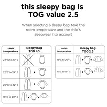 Load image into Gallery viewer, TOG 2.5 Sleepy Bag - Lalee mix by Done by Deer

