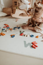 Load image into Gallery viewer, Alphabet EVA Puzzle and Play Mat (180 x 180) by Play and Go

