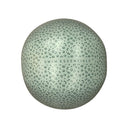 Green Leopard - Beach Ball - 51 cm by Swim Essentials
