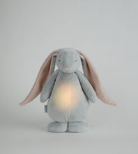 Load image into Gallery viewer, The Humming Bunny Friend by Moonie
