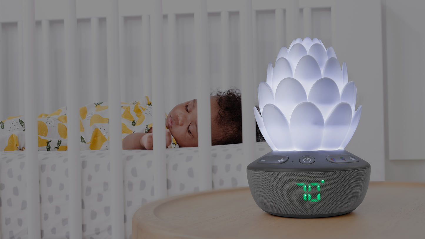 Terra Cry-Activated Soother by SkipHop