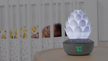 Load image into Gallery viewer, Terra Cry-Activated Soother by SkipHop
