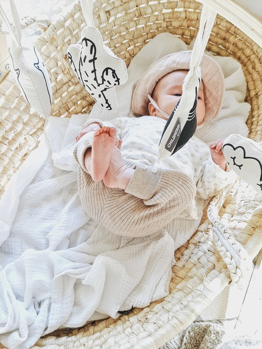 Moses Basket + Mattress + cover by Childhome